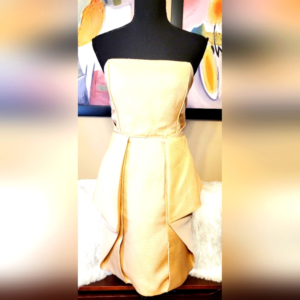 Tibi Dress